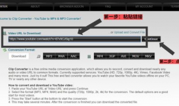 youtube视频下载工具,使用热门下载工具的简易指南