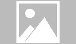 91电视节目直播,精彩纷呈，尽享视听盛宴